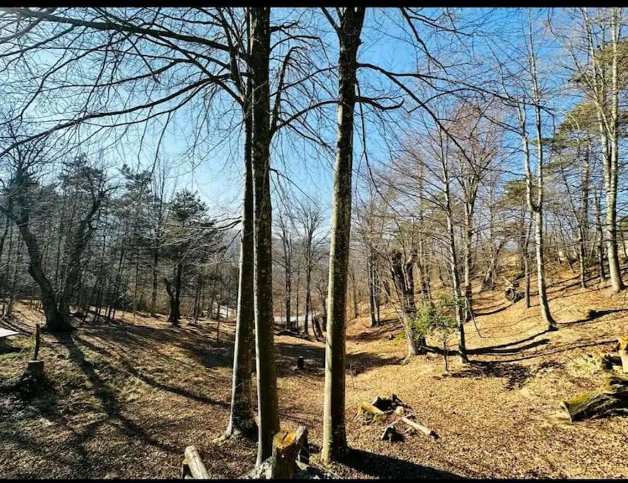 Il Villaggio Dei Puffi Bardineto Kültér fotó