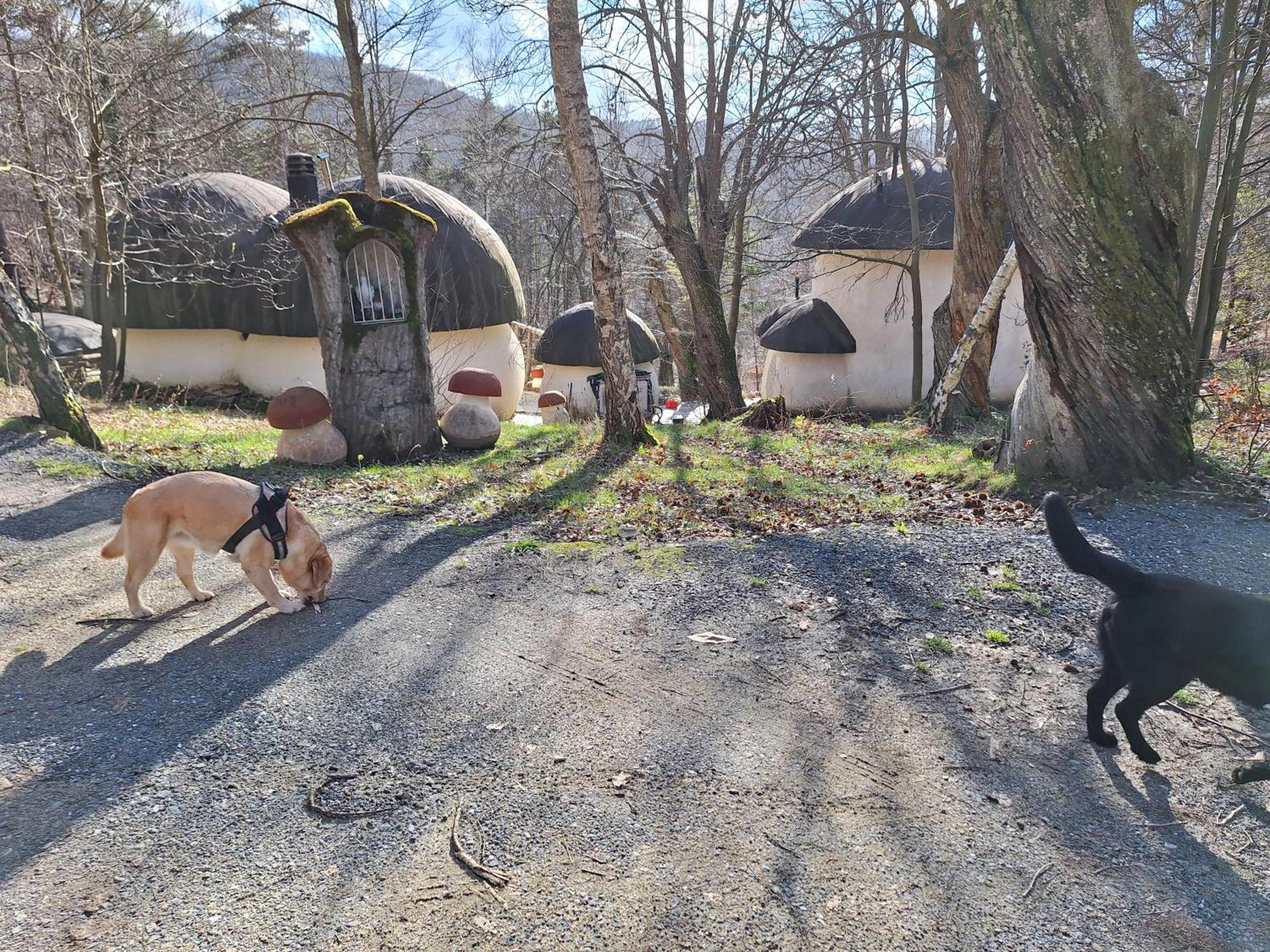 Il Villaggio Dei Puffi Bardineto Kültér fotó